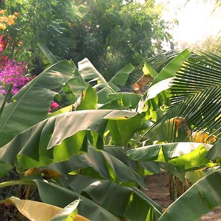 Ndiongo Lampsar Lodge المظهر الخارجي الصورة