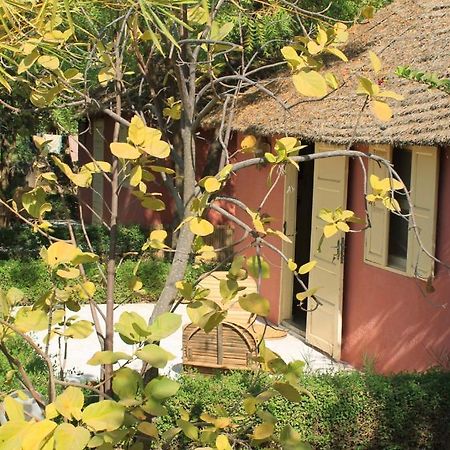 Ndiongo Lampsar Lodge المظهر الخارجي الصورة